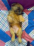 Channelka 2,5 m�s�ce